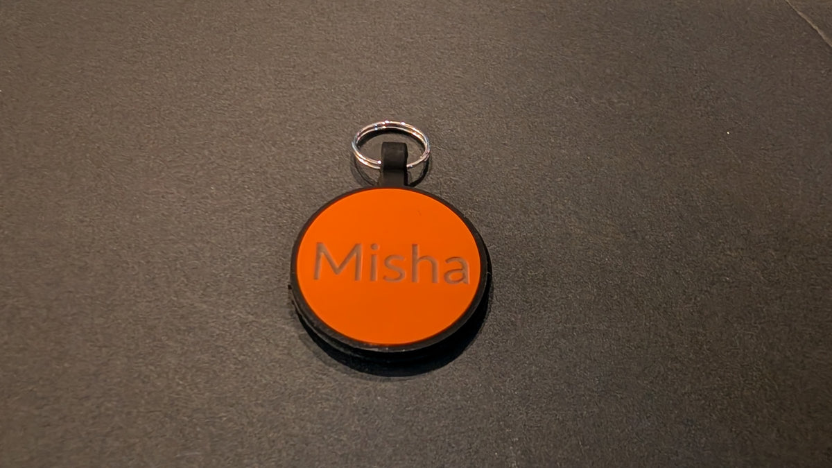 Custom Silent Silicone Pet ID Tag
