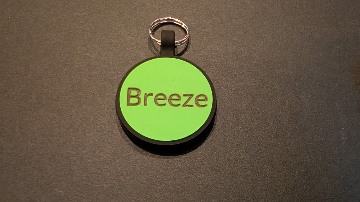 Custom Silent Silicone Pet ID Tag