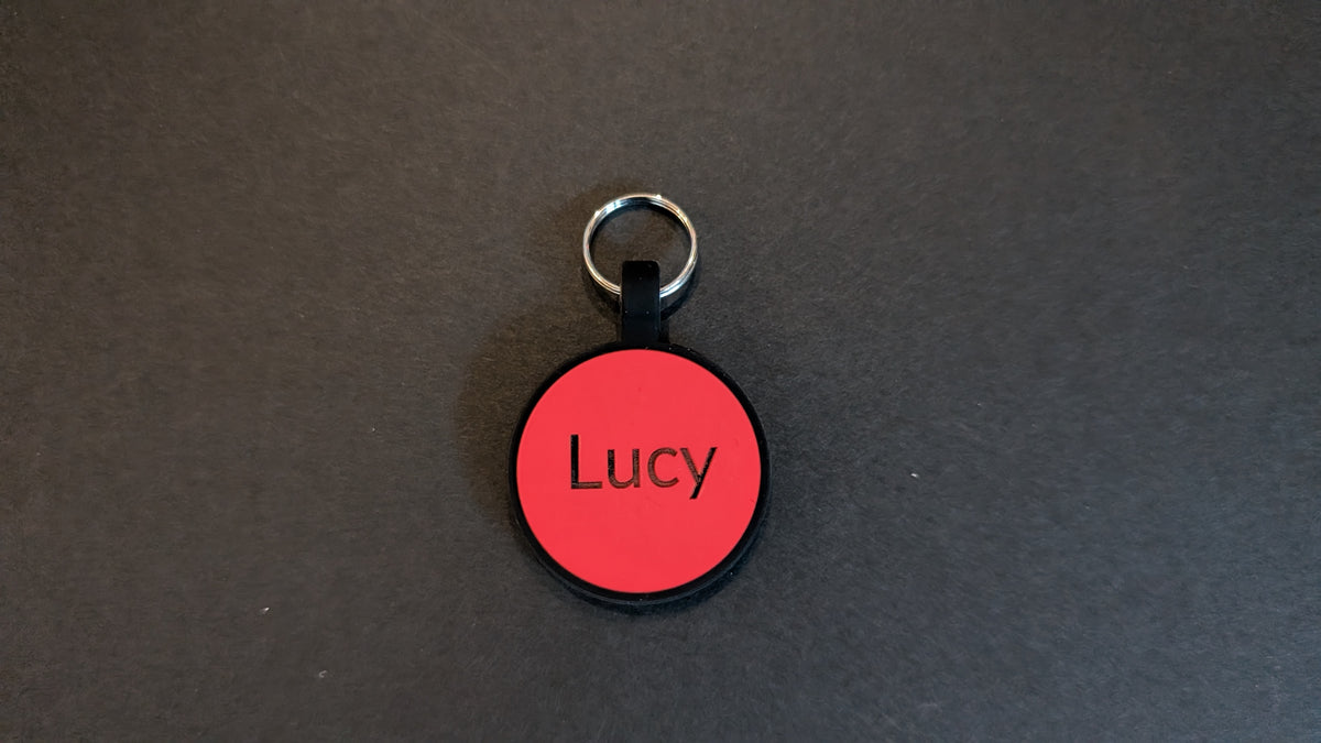 Custom Silent Silicone Pet ID Tag